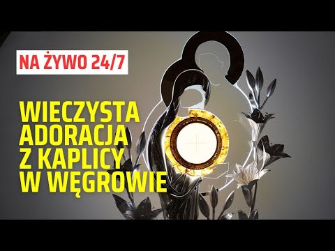 Adoracja Najświętszego Sakramentu z Kaplicy Wieczystej Adoracji w Węgrowie - transmisja na żywo 24/7