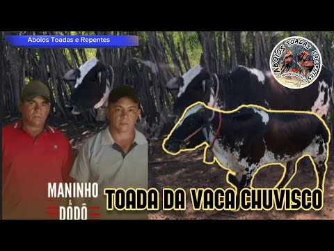 Maninho & Dodo , Toada da Vaca Chuvisco  - Aboios Toadas e Repentes 