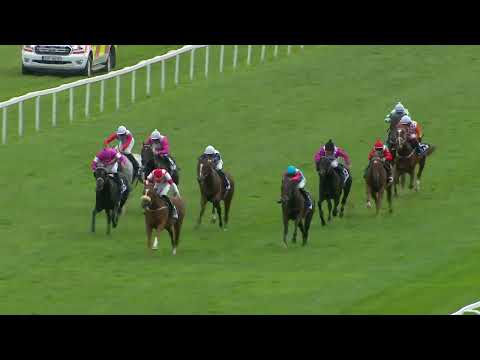 Dostihy Chuchle Arena Praha 23. 9. 2023 - 4. dostih - 8. Leram Million