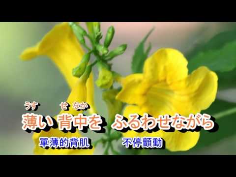 01-031   花も嵐も*** 山本譲二 音圓 950111  金嗓 60154（台語 : 疼你若生命)