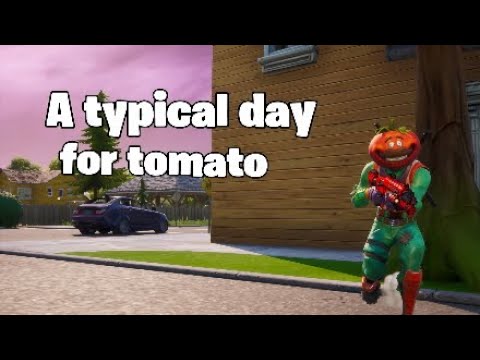 A typical day in Tomato Head's life