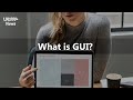 What is GUI (Graphical User Interface)?