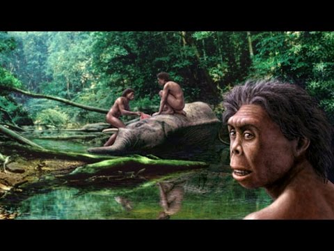 В Индонезии обнаружены предки «хоббитов». Карликовые гоминиды с острова Флорес