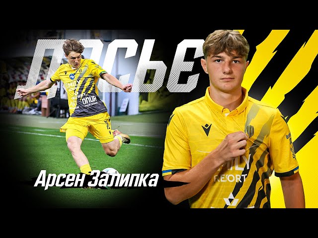 Арсен Залипка / Досьє