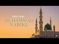 Muhammad Nabiku Haddad Alwi Feat Anti Vita Official Video Lyric