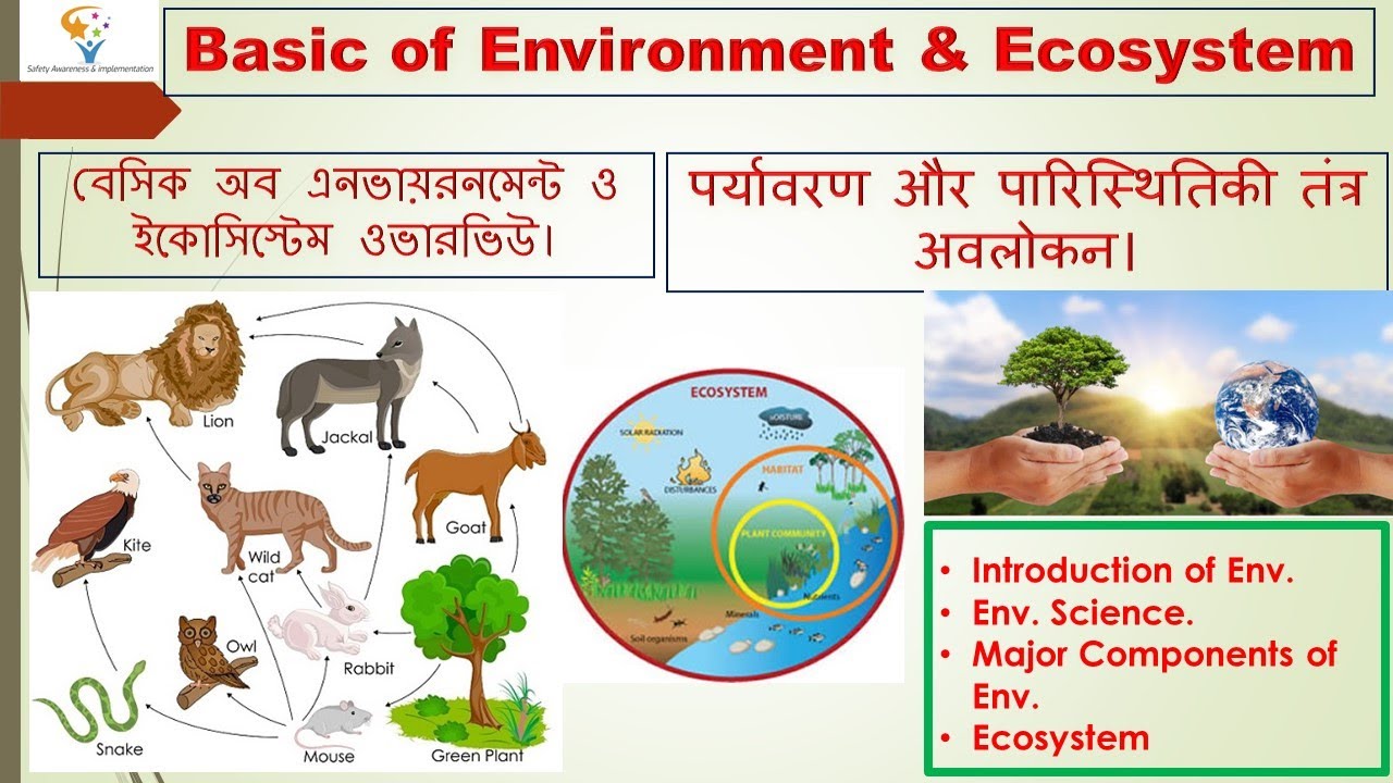 Basics of Environment & ecosystem Video #43