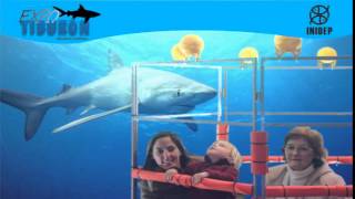 DIA 2 Expo Tiburon84