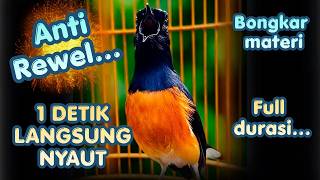 Download lagu GACOR SEKETIKA !! Suara Pancingan Murai Batu Gacor AMPUH Menaikkan EMOSI Murai Agar Bunyi Gacor mp3