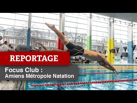 Focus Club : Amiens Métropole Natation