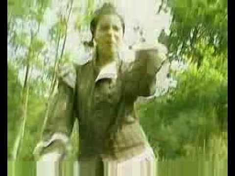 Bow Wow  Wow /Chihuahua