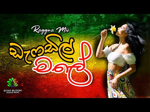 Daffodil Mala | ඩැෆඩිල් මල | Reggae Remix |  @BloomReggaeMusic #bloom #reggae  #music