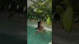 calm over chaos ☀️?