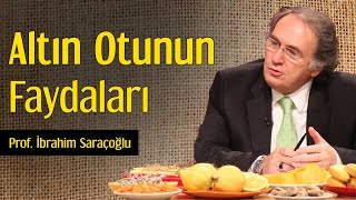 Altın Otunun Faydaları | Prof. İbrahim Saraçoğlu