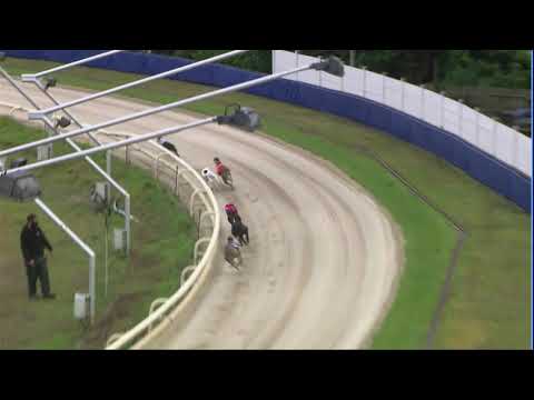 2020 CORAL REGENCY - 1ST SEMI - T3 AFFIRMED