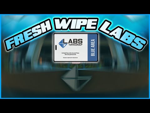 INSANE Start Of Wipe LABS Raid...