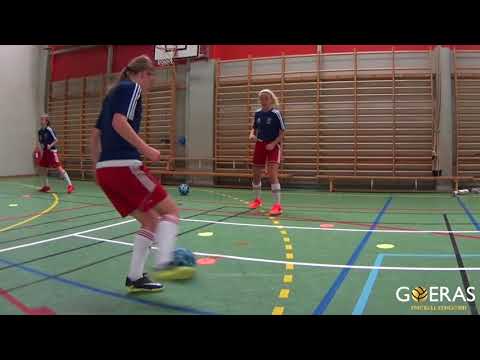 Viggan F04 - Teknikträning Jollen (nov-dec 2017)