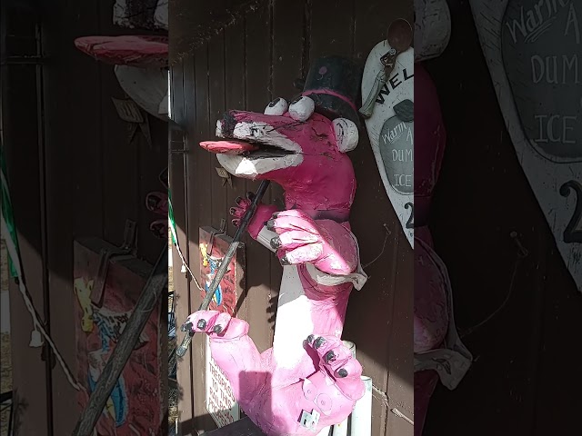 Vídeo relacionado con Snagglepuss Heavens to Murgatroyd Camiseta Manga Raglan