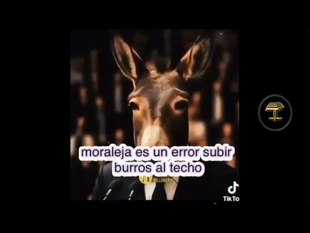 El techo y el burro
