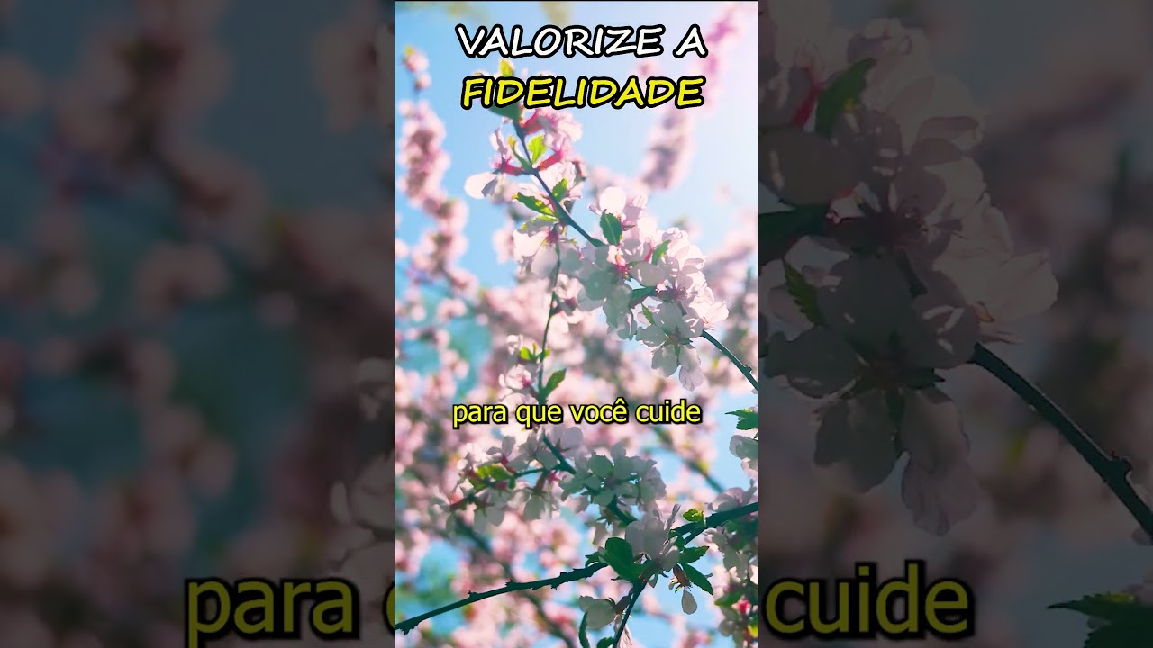 Valorize a Fidelidade e a Felicidade #shorts #youtubeshorts #mensagem #fidelidade #felicidade