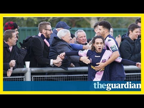 Dulwich hamlet fans pull together to ward off developer’s plans | paul macinnes