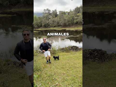 #petlover #colombia #perrosfelices #perrosdivertidos #nortedesantander #mutiscua