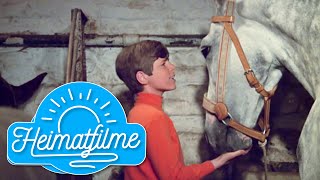 Heintje | Mamatschi, schenk&#39; mir ein Pferdchen | Ein Herz geht auf Reisen | 1969 HD