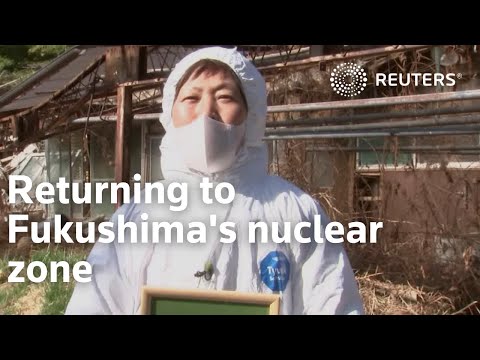 Returning to Fukushima's nuclear zone