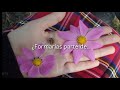 Dion: Life is but a dream (Sub. Español)