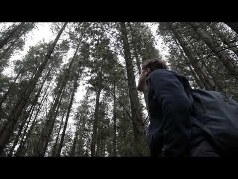 Scream My Name - Taynte