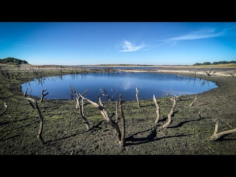 Fires spread and drought takes hold in parts of UK amid heatwave
