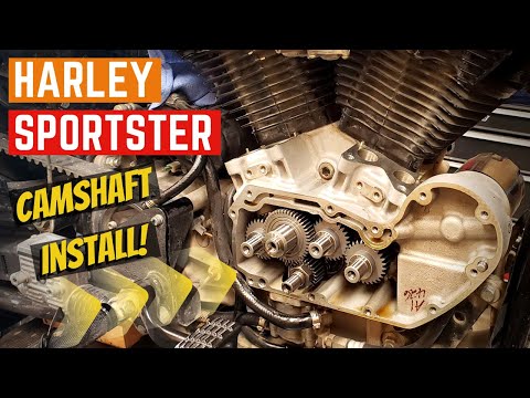 SPORTSTER Camshaft Install HOW TO - In The Shop