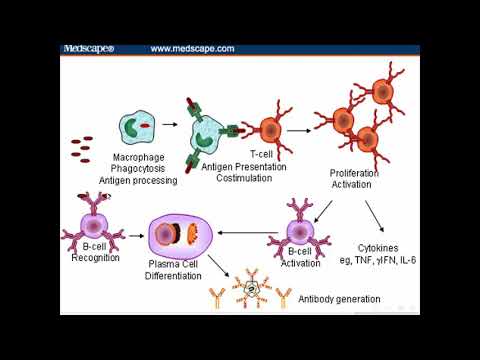Medical Immunology Lecture 3