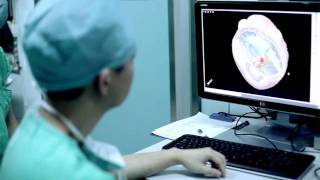 FiberTracking Offers Critical Visualization of Functional Brain Information