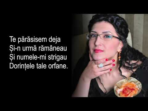 Georgeta Voinovan - Te parasisem