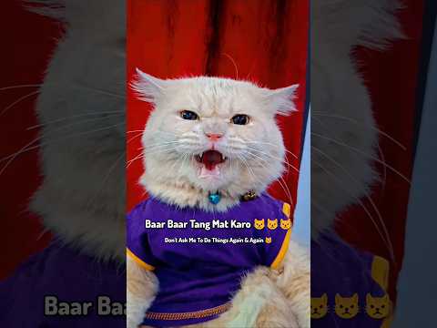 Famin Ki Favourite Sunnah Muskurana Hai 😻 Famin Smiling 😅🐾