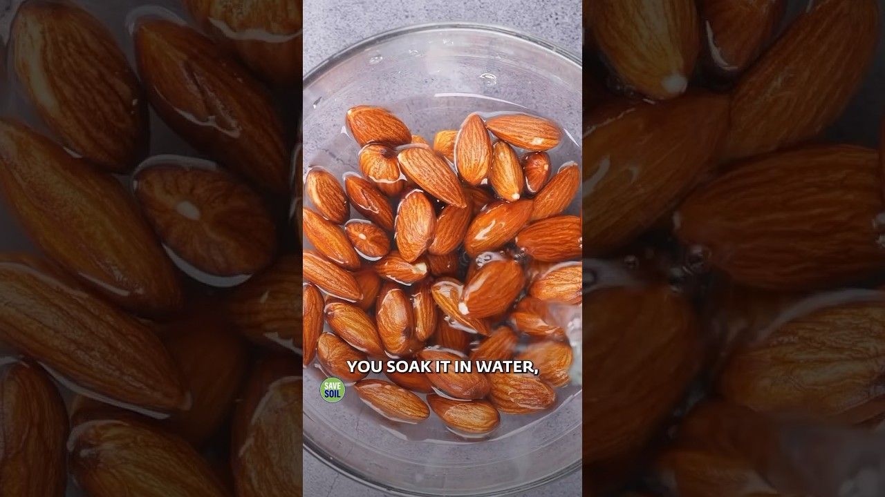 The Right Way To Consume Almonds