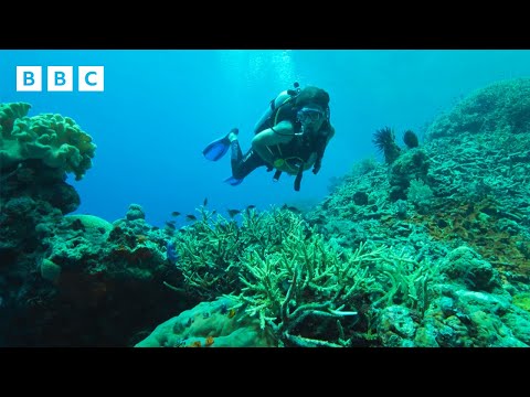 Simon Reeve journeys to Earth's GREATEST wildernesses 🌎 | Wilderness with Simon Reeve - BBC