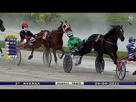Aversa trotto 24 Aprile 2021 - 2° Corsa