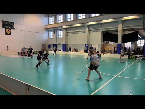 T12-ErVi-Northern Stars