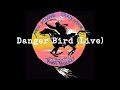 Neil Young & Crazy Horse - Danger Bird (Official Live Audio)