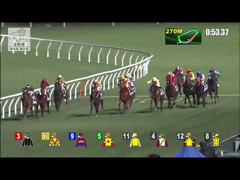 港經佬賽事重溫｜22-12-2021 谷草夜馬第六場賽事重溫 (276)｜幸運旅程 LUCKY ARCHANGEL(E385)｜班德禮 H Bentley｜羅富全 F C Lor｜免費心水及賽馬貼士