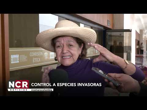 Vídeo: NCR. Noticiero Cámara de Representantes. Emisión 2 de abril de 2026