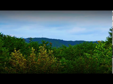 Satul meu - Aricestii Zeletin