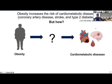 QLS/CAMBAM Seminar - Satoshi Yoshiji- September 17 2024