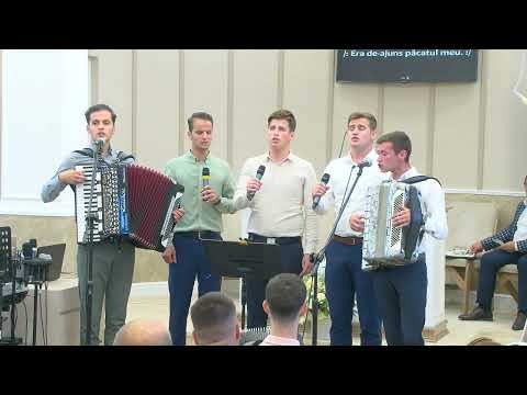 Fratii Sima & Frații Turanschi... N-a fost nevoie de armura  de săbii sau de scut roman