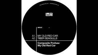 Composite Profuse - Tiber Seagulls