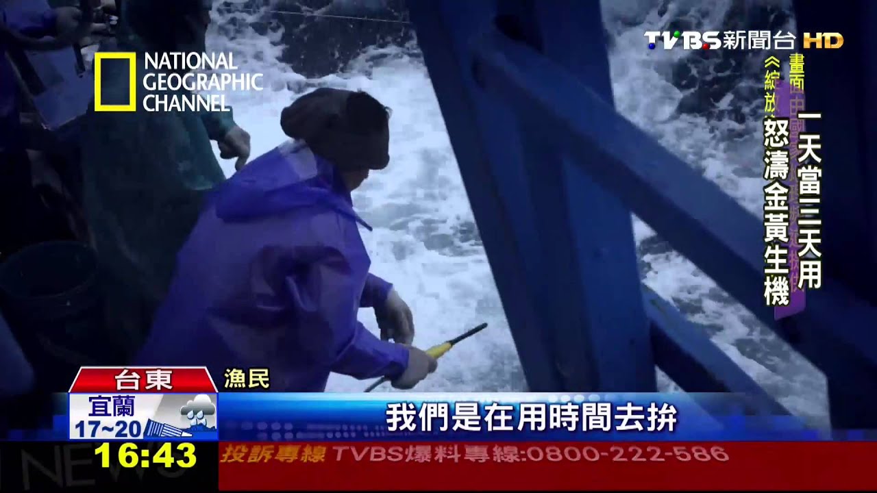 科學家和漁夫合力出手 捕鬼頭刀救生計
