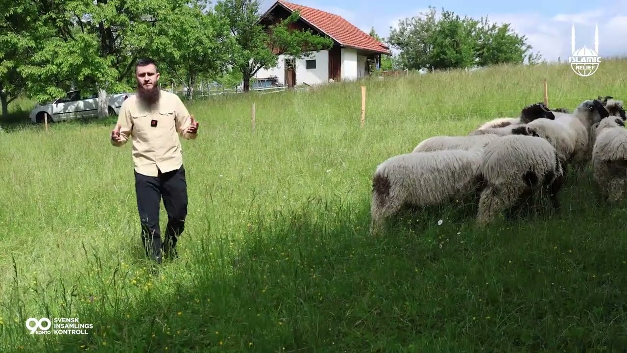 Din Qurbani är mer än bara kött (Eid al-Adha 2025)