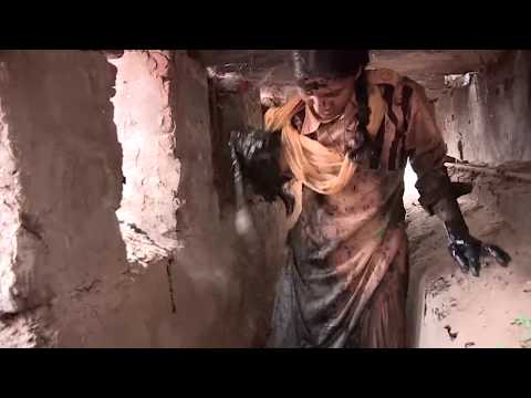 Mega Cleanliness Earth Campaign|Swachh Bharat|Saint Dr. Gurmeet Ram Rahim Singh Ji Insan