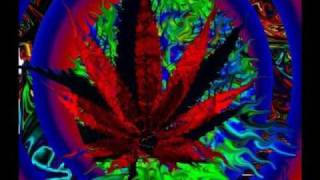 TOM NOVY N VIRGINIA -SMOKE DIS 1